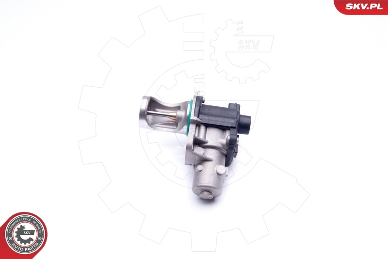 EGR Valve